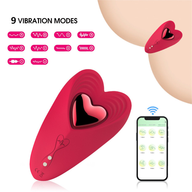 LovePulse Magnetic Panty Vibrator