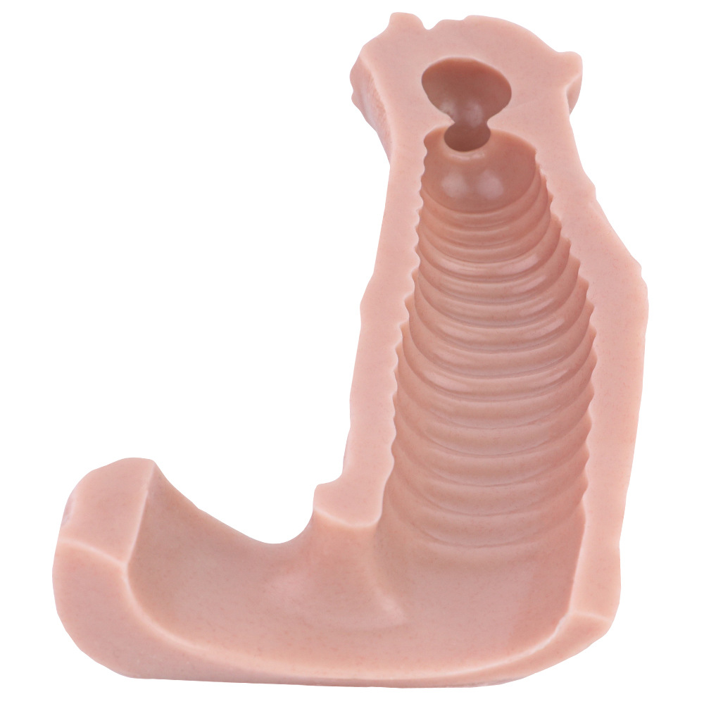 Realistic Penis Sleeve Extender With Secure Scrotum Ring - image 2