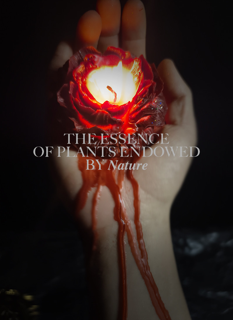 Peony Rose Flow-Core Wax Drip-WeLovePlugs