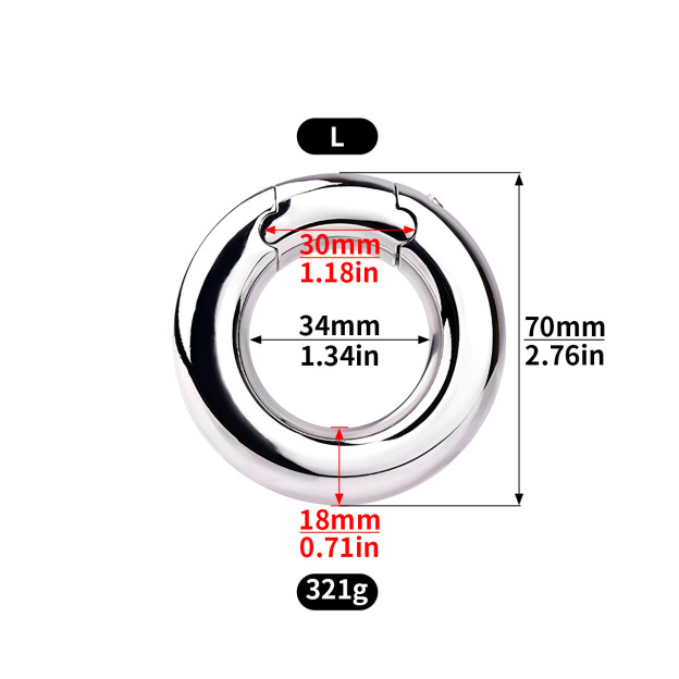 Stainless Steel Locking Cock Ring-WeLovePlugs