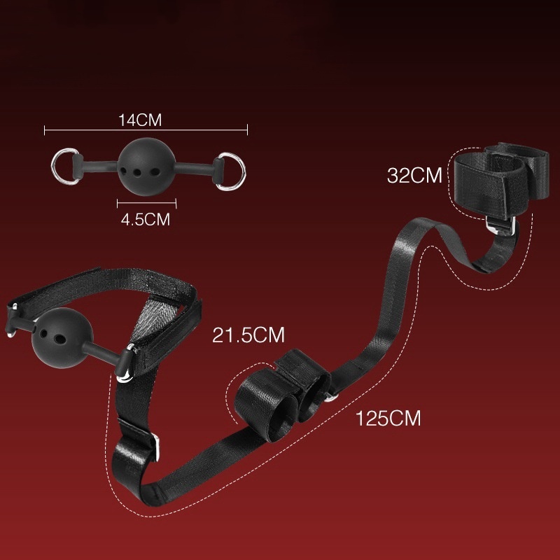 BDSM Restraints Kit Set with Mouth Gag -WeLovePlugs