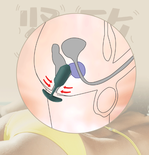 Vibrating Butt Plug Anal Training -WeLovePlugs