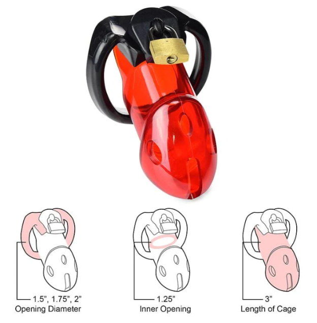 Caught Red Handed Locking Cock & Ball Chastity Cage -WeLovePlugs