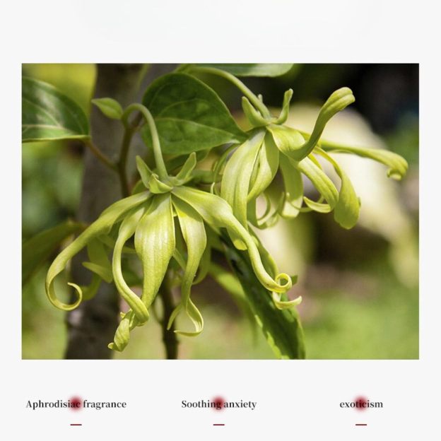 Butterfly-shaped Low-temperature Candle - image 5