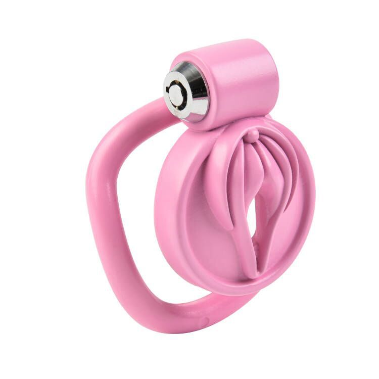 Sissy Play Chastity Cage with 4 Rings -WeLovePlugs