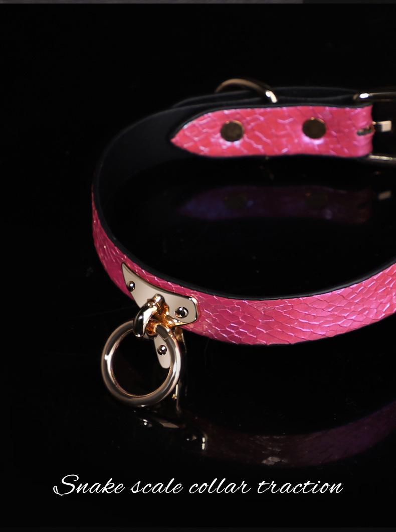 Snake Skin Texture Collar & Leash Set - image 3