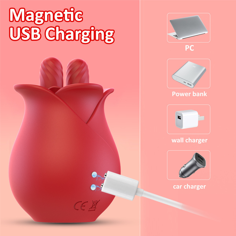 Double Tongue Lick Vibrator With 10 Frequency -WeLovePlugs