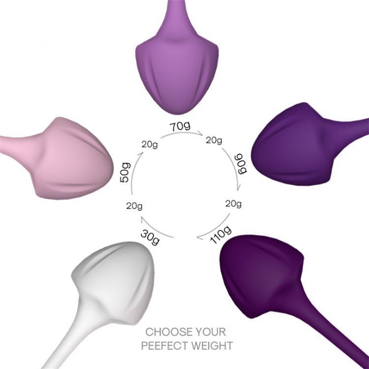 Progressive Kegel Balls for Women Kegel Exercise Kit for Pelvic Floor Tightening -WeLovePlugs