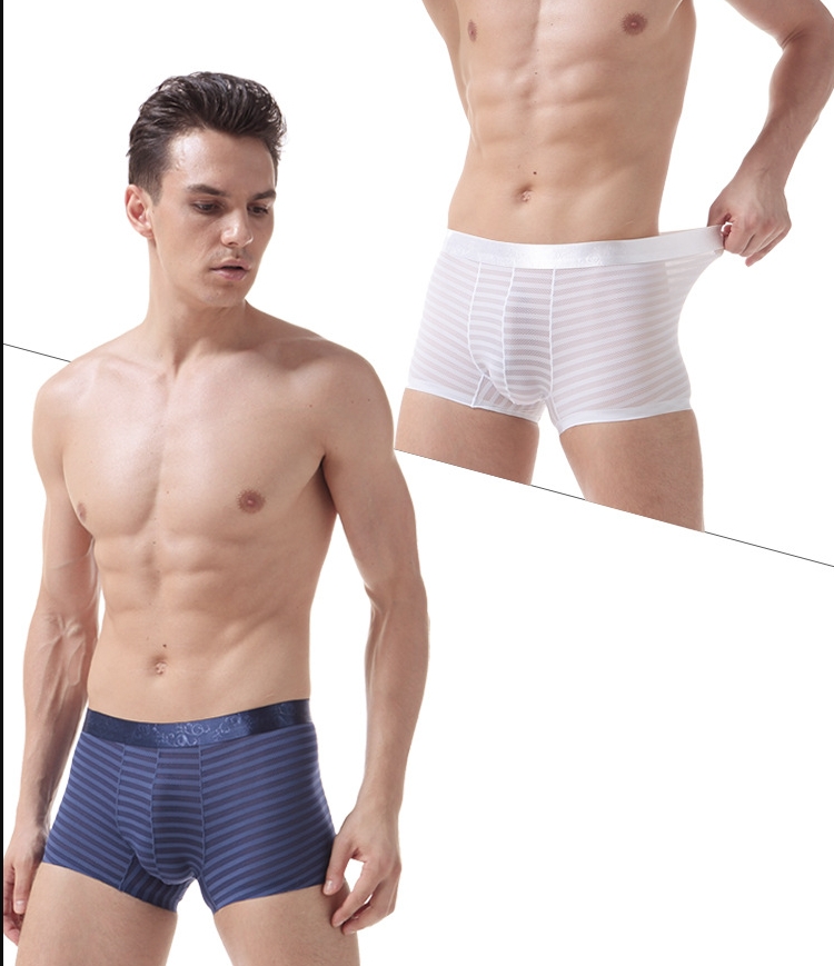 Stripe Mesh Boxer Shorts Black -WeLovePlugs