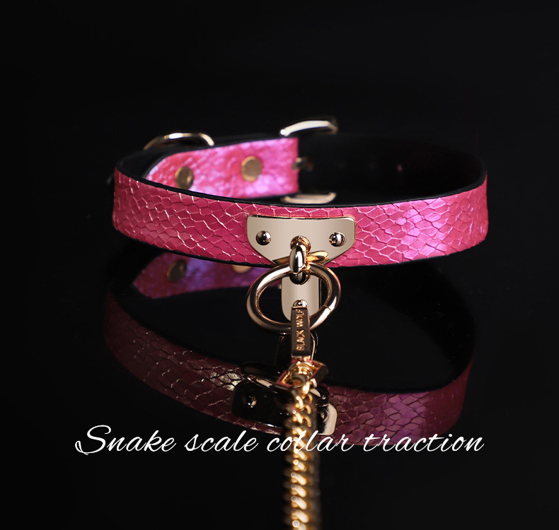 Snake Skin Texture Collar & Leash Set - image 1