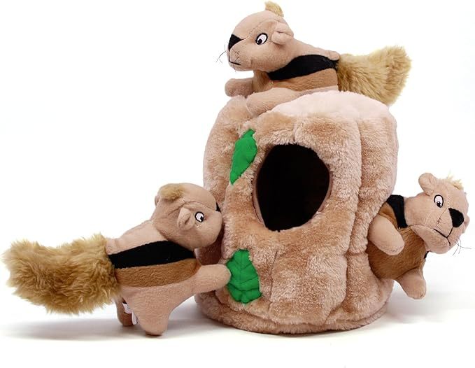 Hide A Squirrel Plush Dog Toy Puzzle