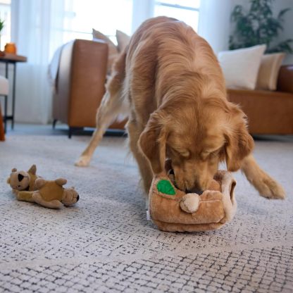 Hide A Squirrel Plush Dog Toy Puzzle