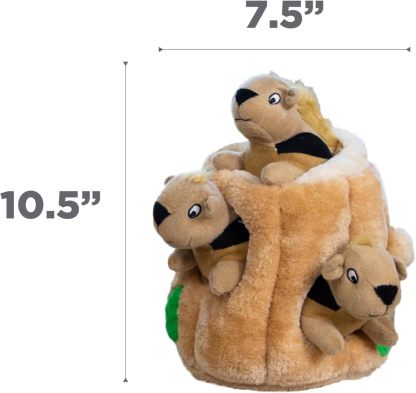 Hide A Squirrel Plush Dog Toy Puzzle