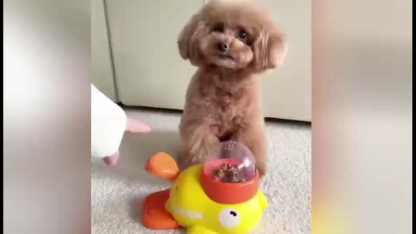 2025 New Dog Interactive Treat Dispenser Toy Slow Feeder, Duck Shaped Feeder Bowls for Small & Medium Dogs