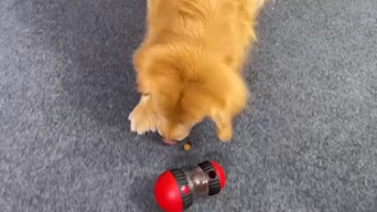 Dog Puzzle Toy for Anxiety Relief - Adjustable Treat Dispensing Ball with Slow Feeder Design, Tough Bite-Resistant Interactive Chase Toy, Enrichment Training Games for Small/Medium/Large Dogs