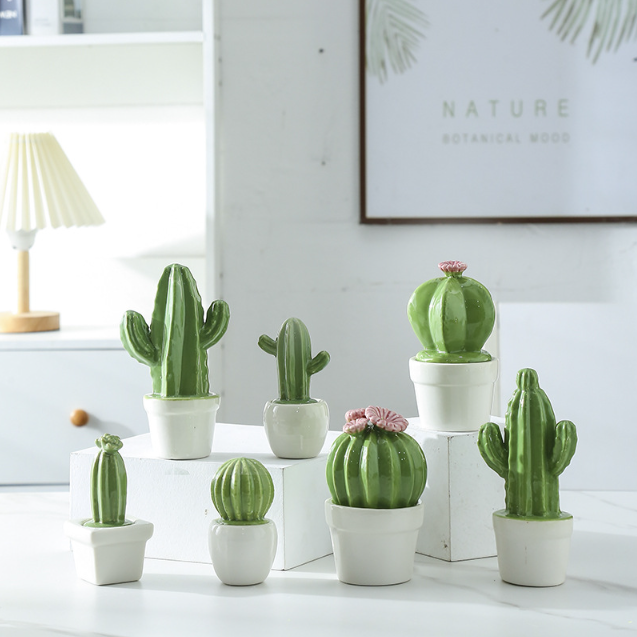 Foolproof Greenery: Glass Potted Cactus for the Not-So-Green-Thumbed