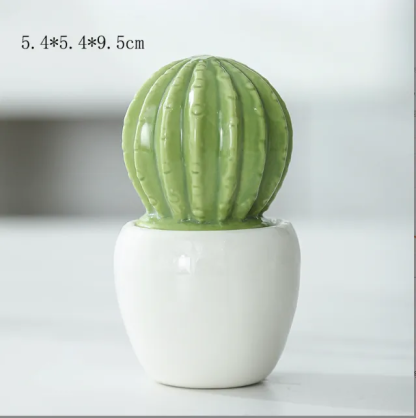 Foolproof Greenery: Glass Potted Cactus for the Not-So-Green-Thumbed
