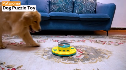 Dog Puzzle Toy 2 Levels, Slow Feeder, Pup Food Treat Feeding Dispenser for IQ Training and Entertainment for All Breeds 4.2 Inch Height