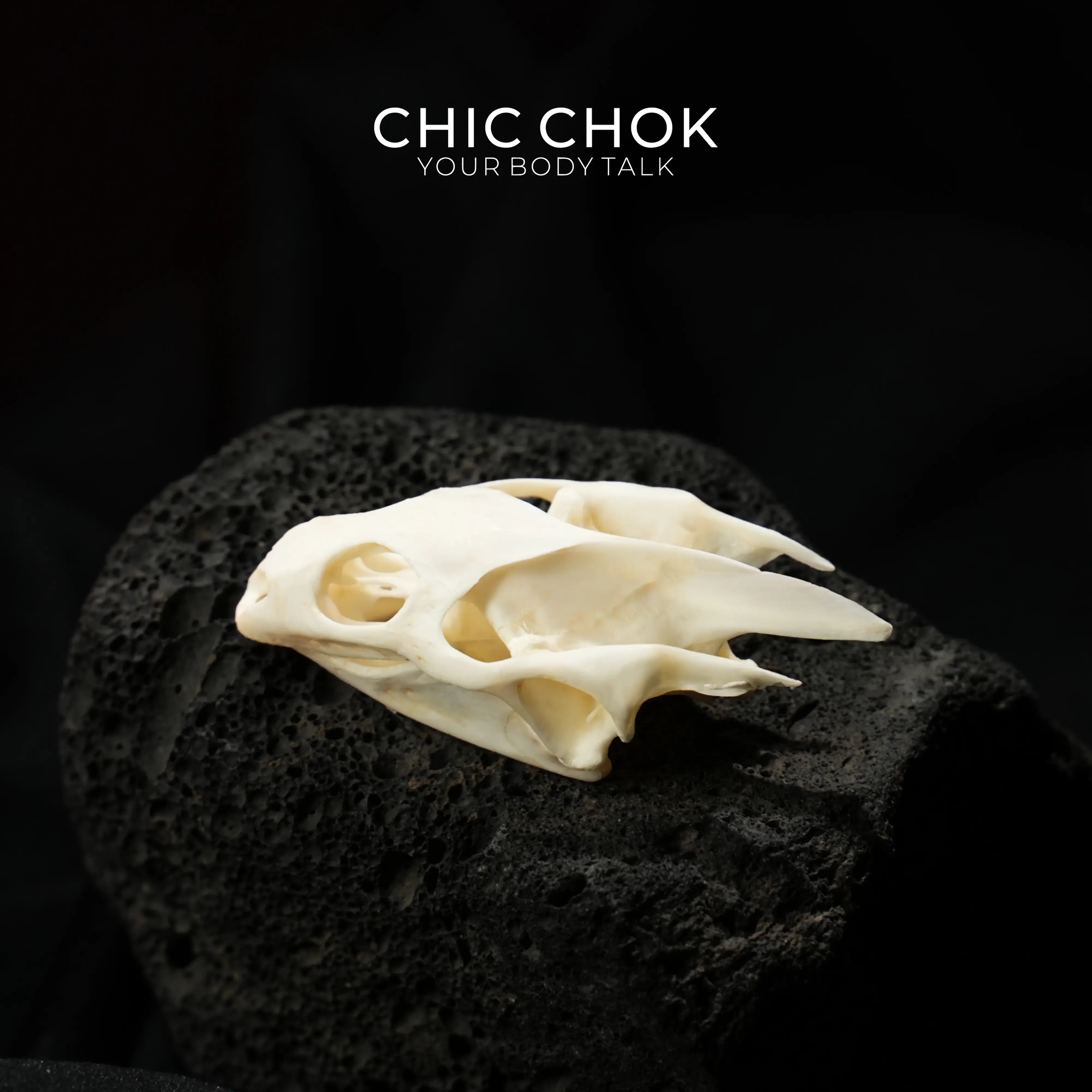 Snake Bone Accessories - CHICCHOK