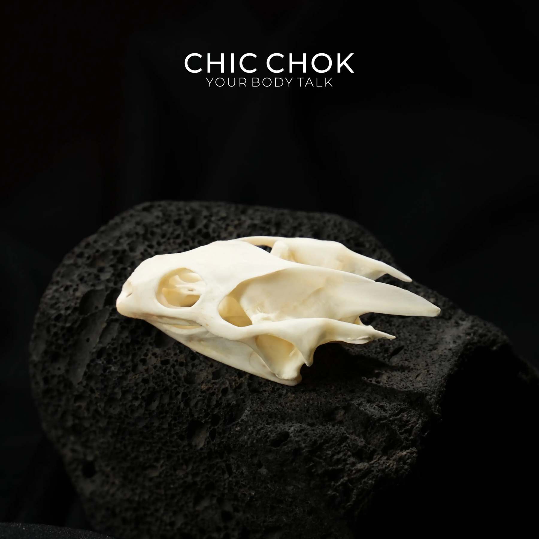 CHIC CHOK Bone Serpent Embracing Sapphire Star - CHICCHOK