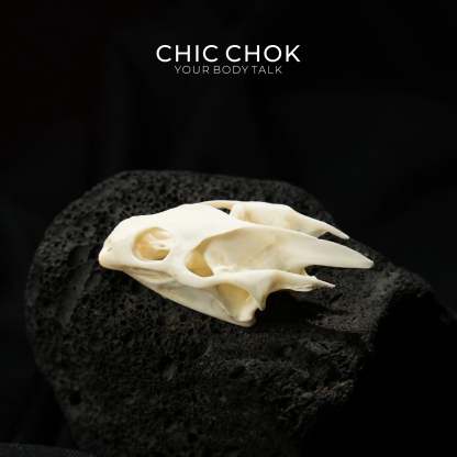 CHIC CHOK Bone Serpent Embracing Sapphire Star - CHICCHOK