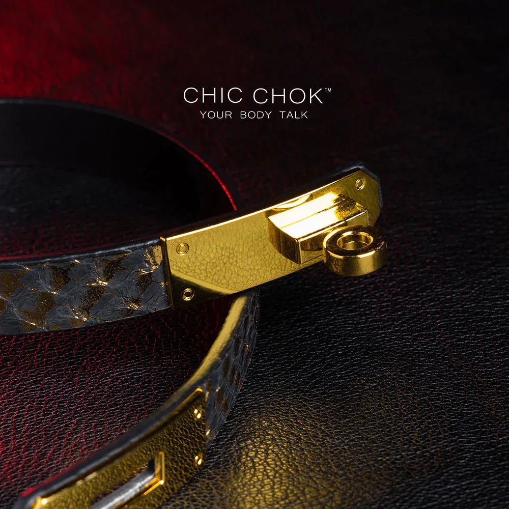 CHICCHOK [Dark Romance] - Black and Gold Python Classic Front Closure Non-adjustable Fashion Choker - CHICCHOK