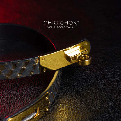 CHICCHOK [Dark Romance] - Black and Gold Python Classic Front Closure Non-adjustable Fashion Choker - CHICCHOK