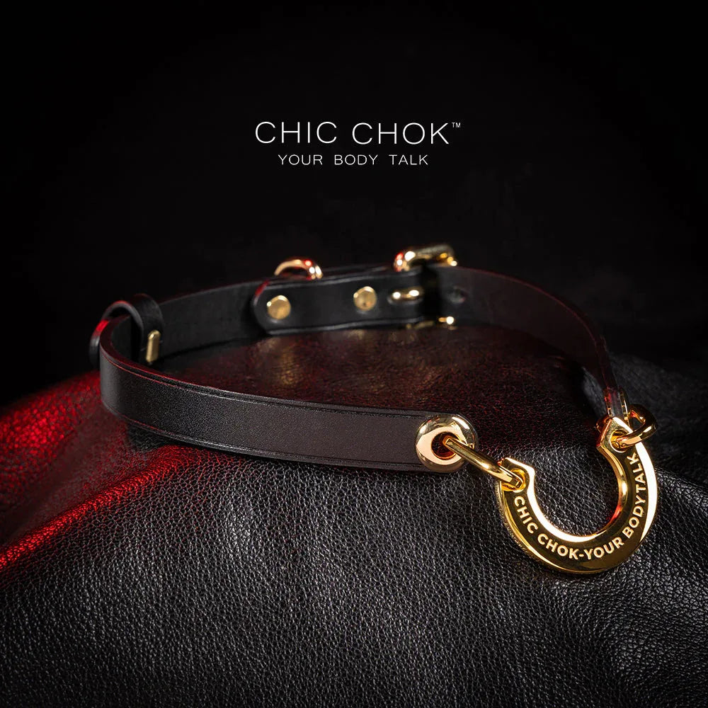 CHICCHOK [Classic C] Classic Horseshoe Pendant Fashion Daily Adjustable Choker - CHICCHOK