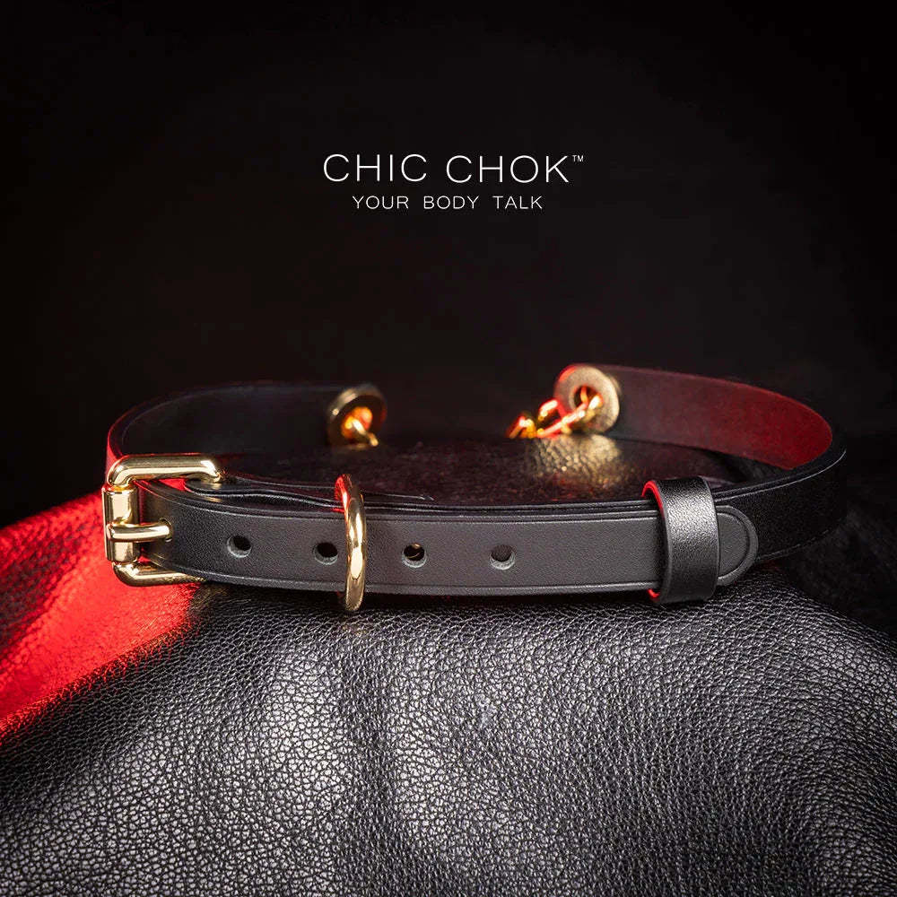 CHICCHOK [Classic C] Classic Horseshoe Pendant Fashion Daily Adjustable Choker - CHICCHOK