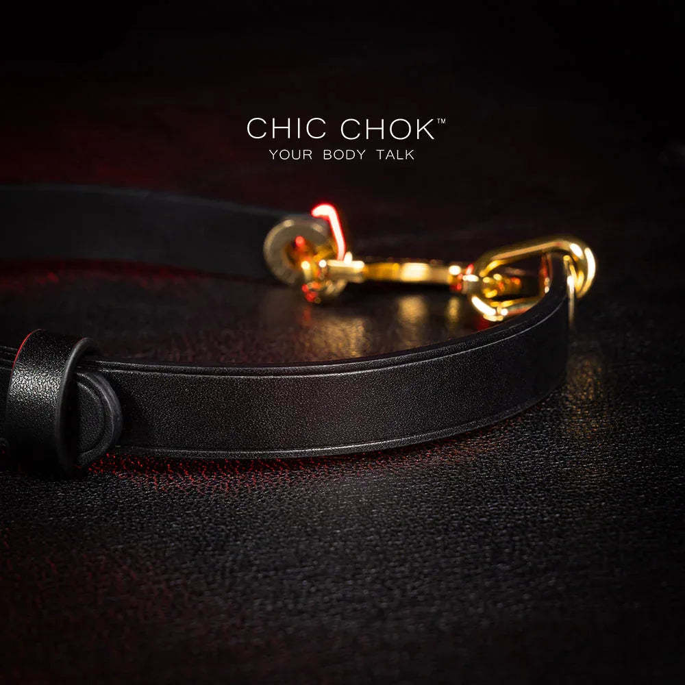CHICCHOK [Classic C] Classic Horseshoe Pendant Fashion Daily Adjustable Choker - CHICCHOK