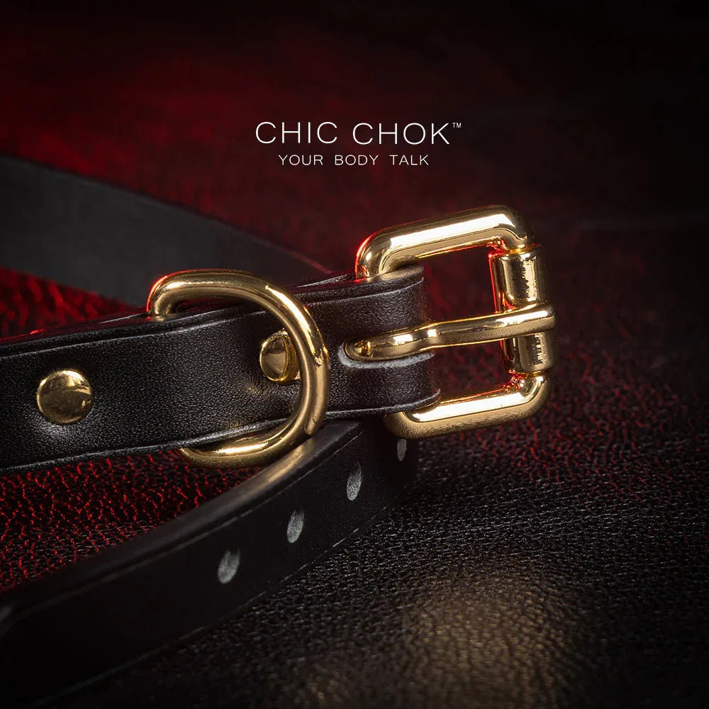 CHICCHOK [Classic C] Classic Horseshoe Pendant Fashion Daily Adjustable Choker - CHICCHOK