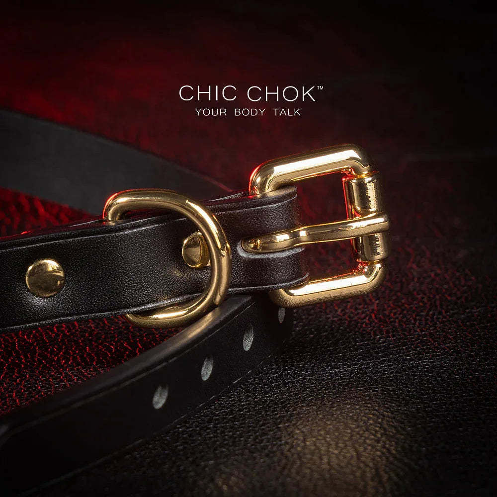 CHICCHOK [Classic C] Classic Horseshoe Pendant Fashion Daily Adjustable Choker - CHICCHOK