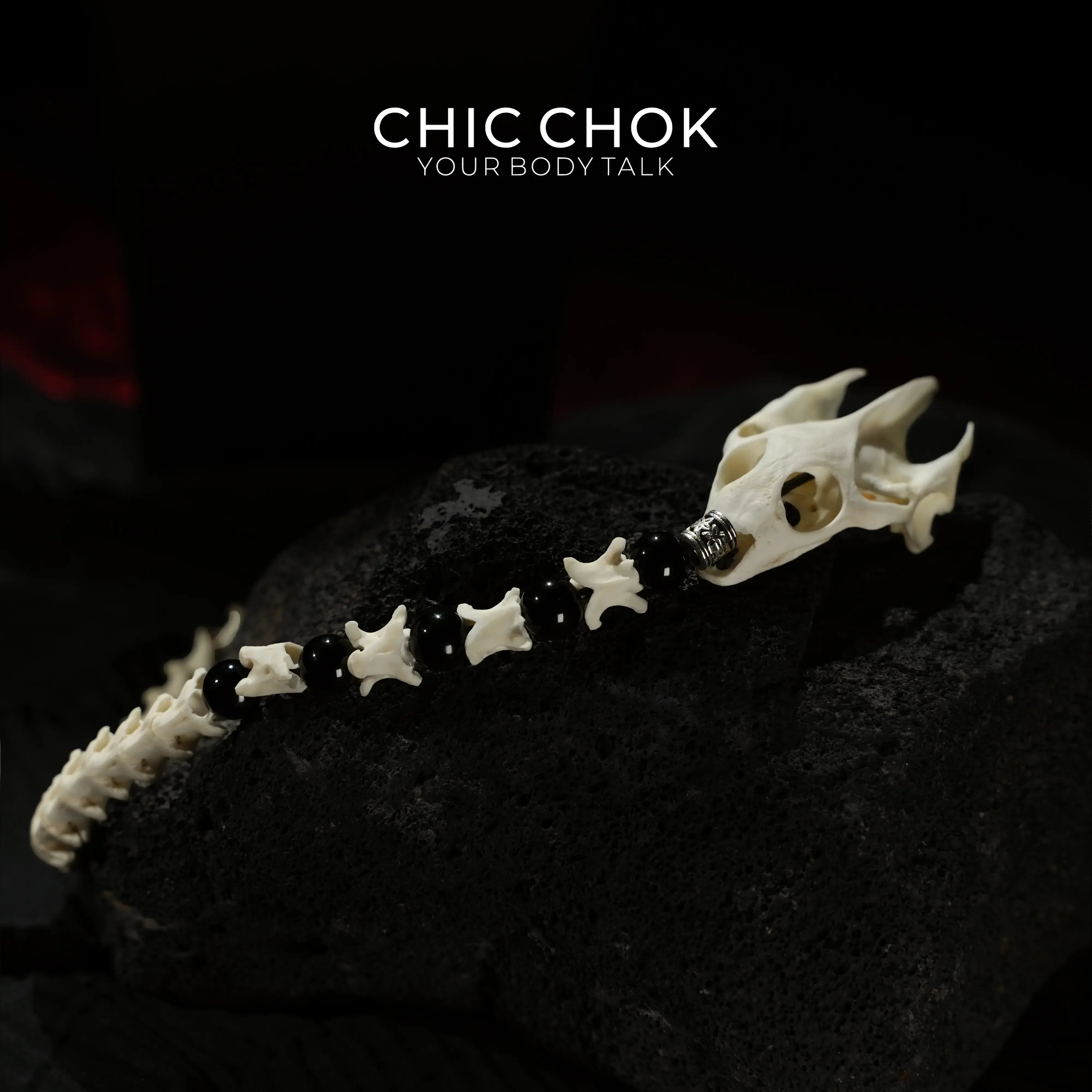Obsidian Carapace Bone Spine - CHICCHOK