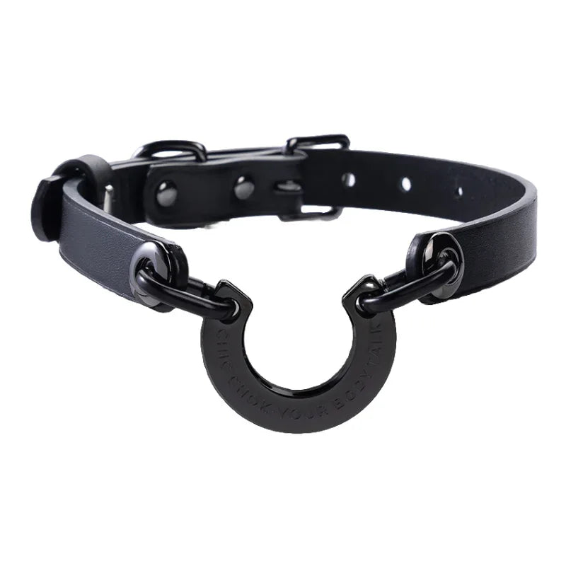 CHICCHOK [Classic C] Classic Horseshoe Pendant Fashion Daily Adjustable Choker