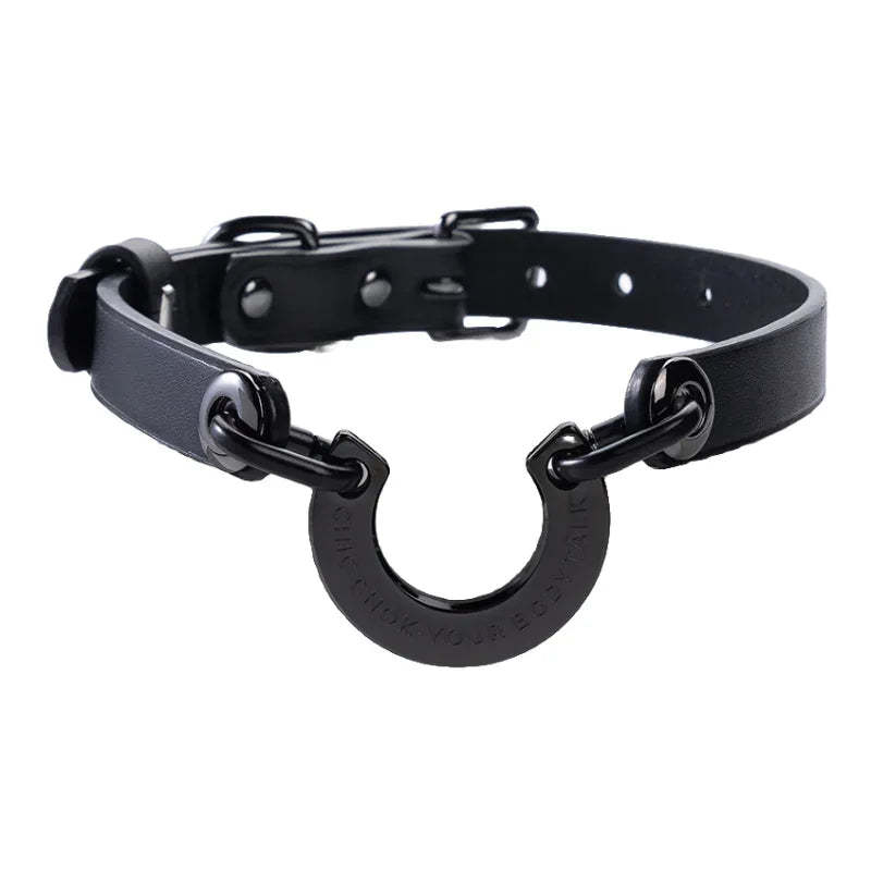 CHICCHOK [Classic C] Classic Horseshoe Pendant Fashion Daily Adjustable Choker
