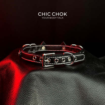 CHICCHOK - Rocking Kitty