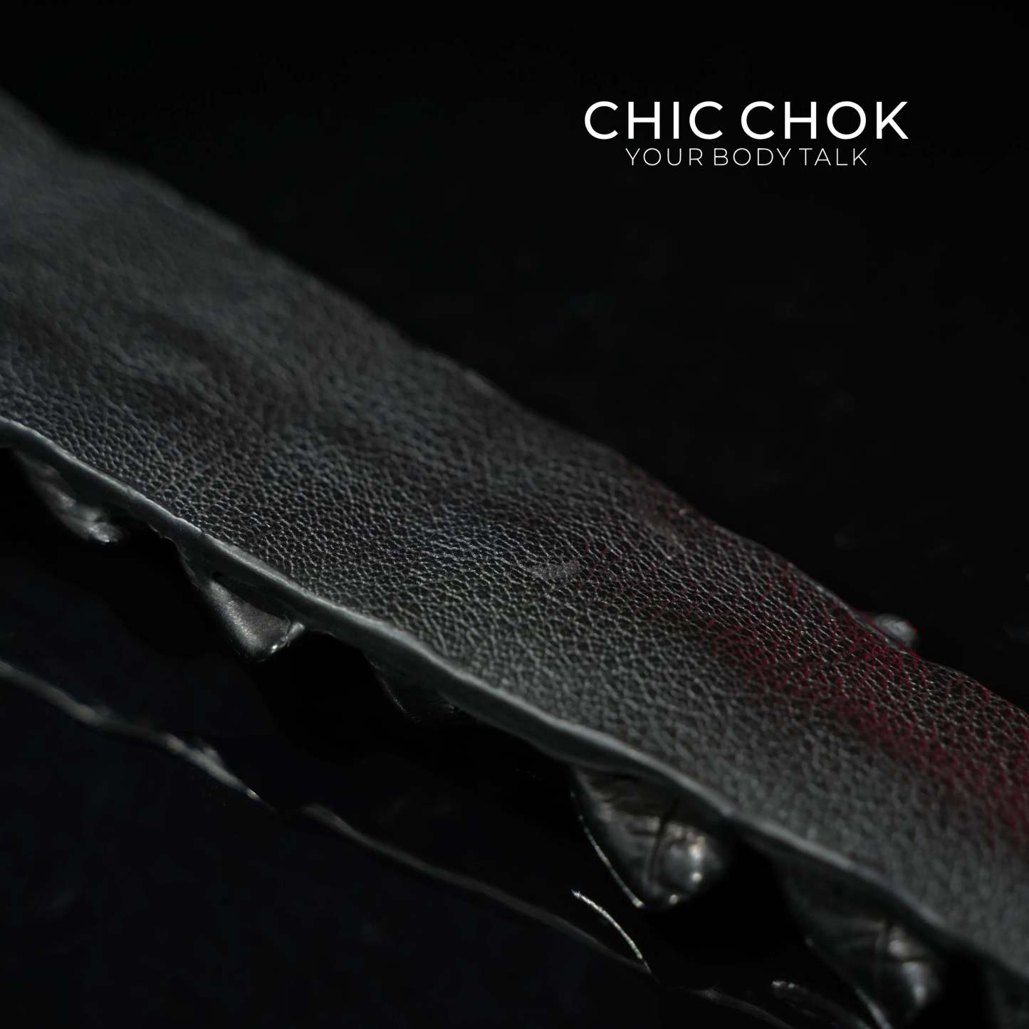 Alligator Tail Whip - CHICCHOK