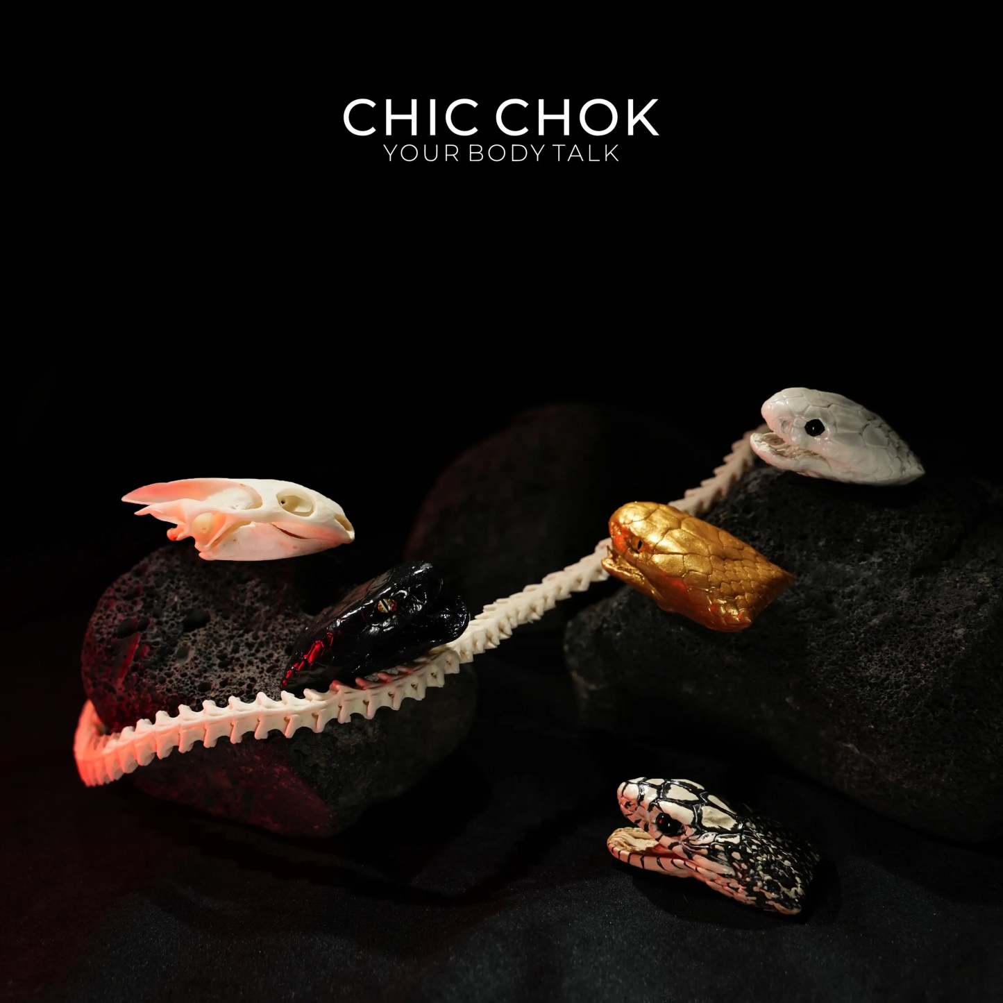 Snake Bone Accessories - CHICCHOK