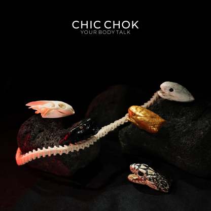 Snake Bone Accessories - CHICCHOK