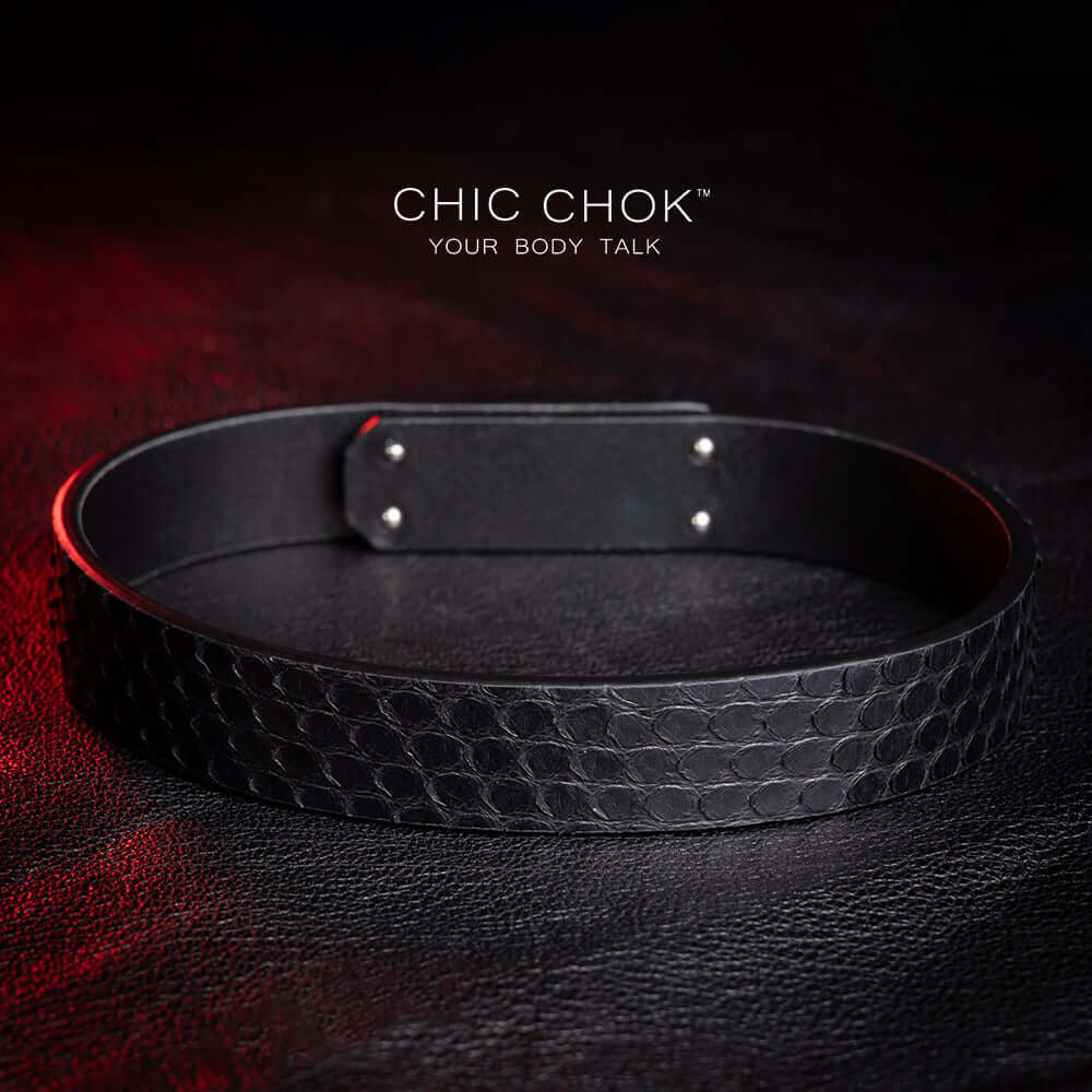 chicchok, black collar, white lock, python leather details for a luxurious style.