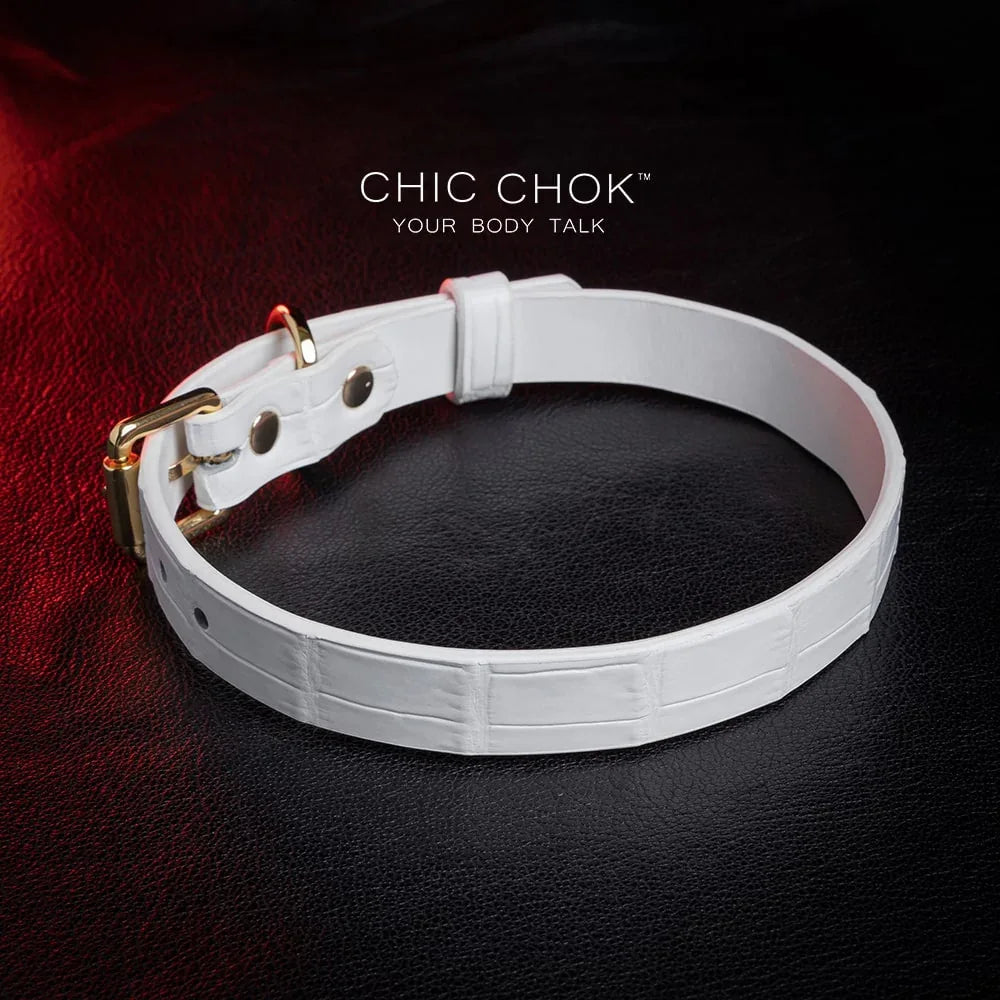 CHIC CHOK Daylight - Collar – fashionable crocodile leather texture design with elegant gold buckle - CHICCHOK