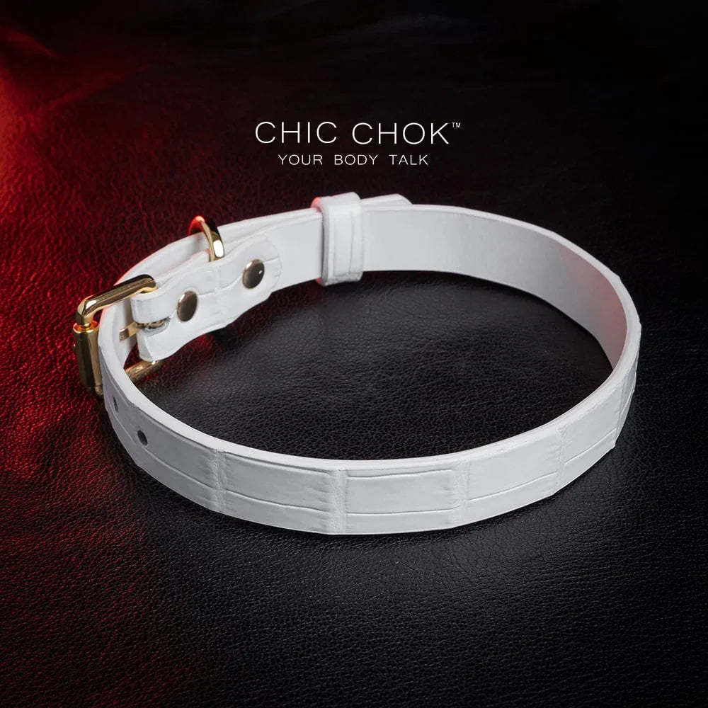 CHIC CHOK Daylight - Collar – fashionable crocodile leather texture design with elegant gold buckle - CHICCHOK