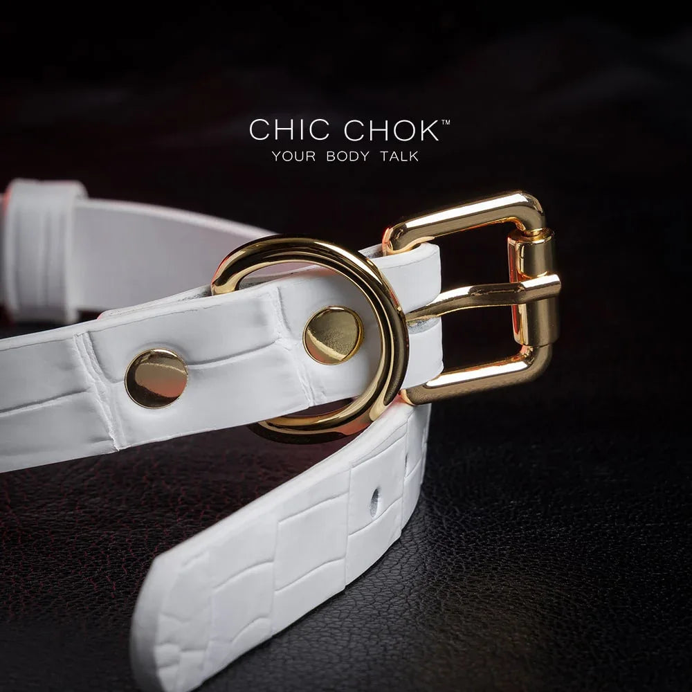 CHIC CHOK Daylight - Collar – fashionable crocodile leather texture design with elegant gold buckle - CHICCHOK