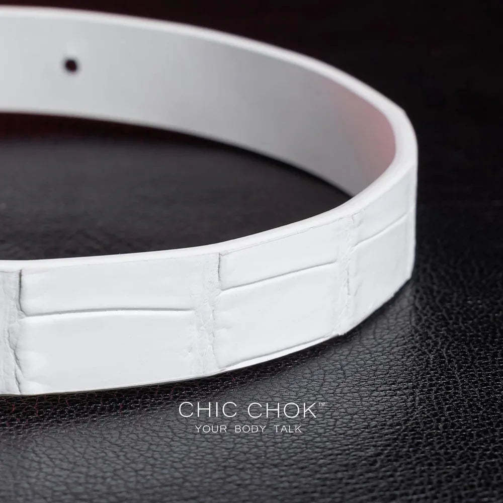 CHIC CHOK Daylight - Collar – fashionable crocodile leather texture design with elegant gold buckle - CHICCHOK