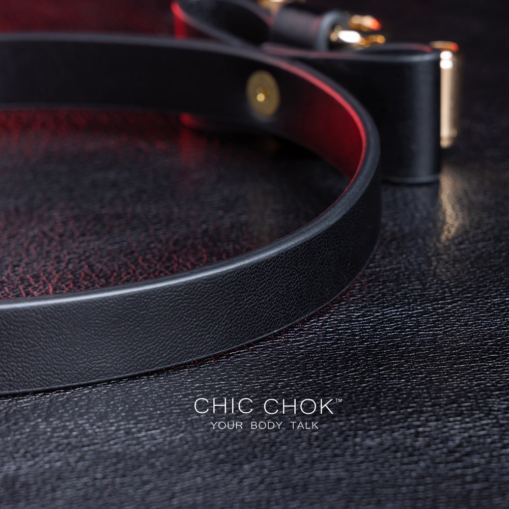 Elegant choker featuring a golden bow design symbolizing nobility, unity, and individuality, set against a vibrant color contrast to represent diverse social statuses, personalities, and backgrounds while celebrating love and mutual respect.