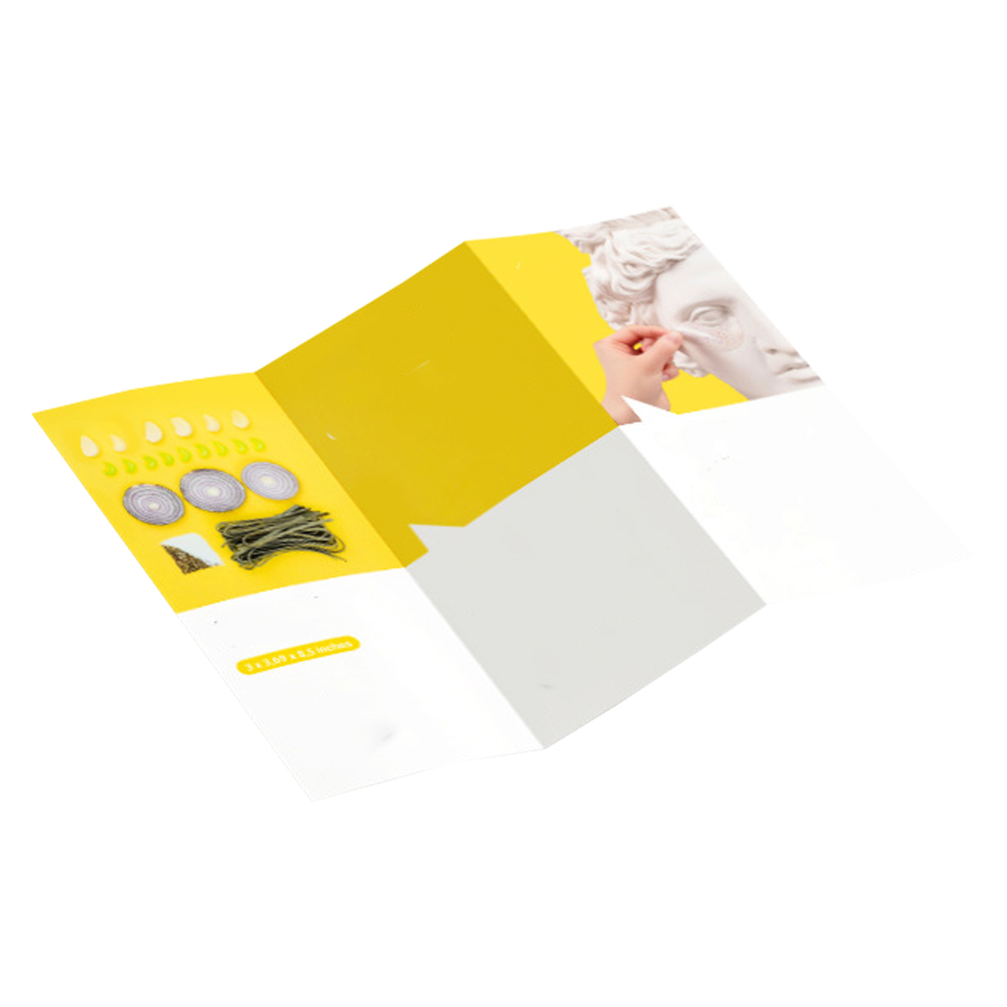Exhibition Folding Digital Printing Manuals 