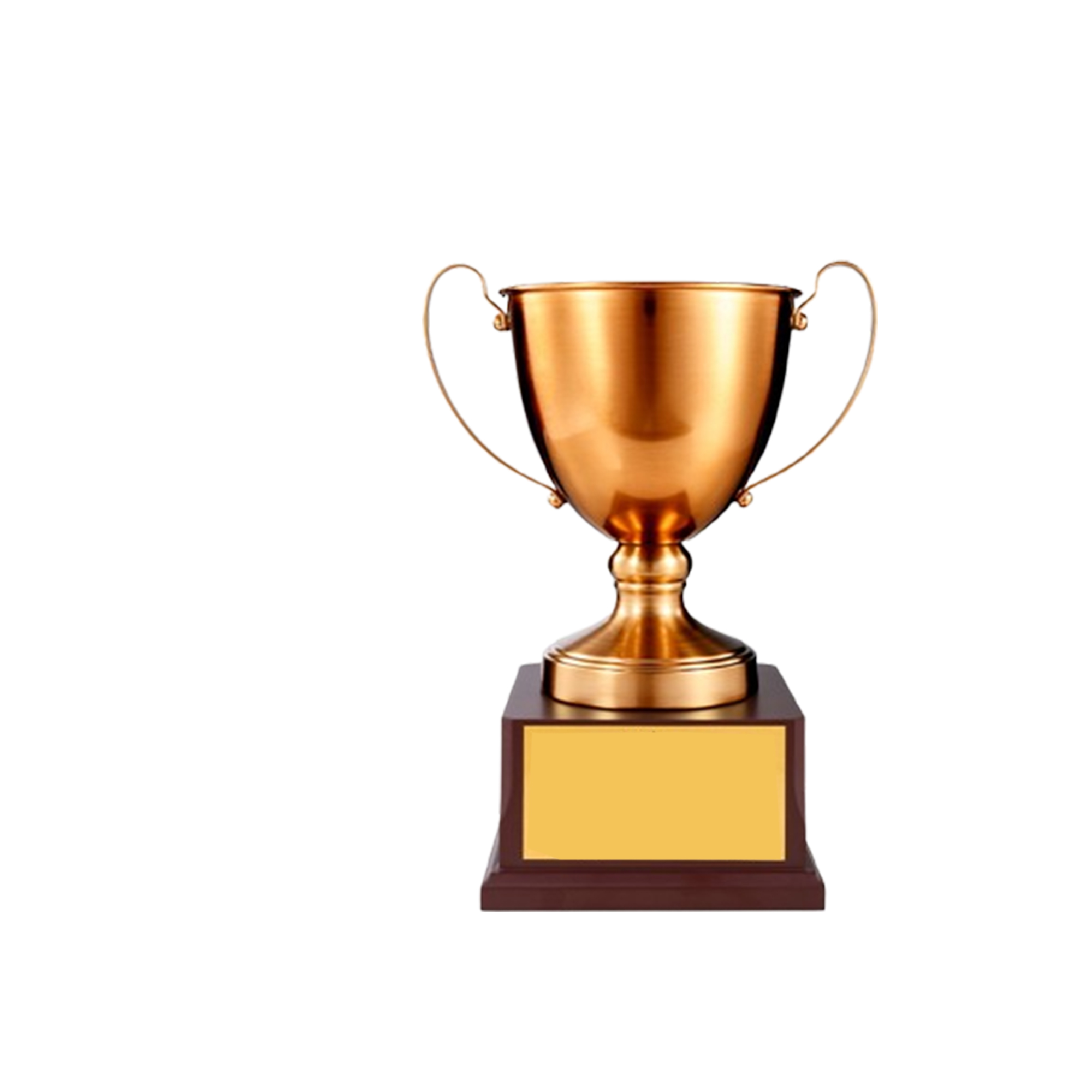 Large Premium Metal Awards for Employee Recognition and Sports Competitions 