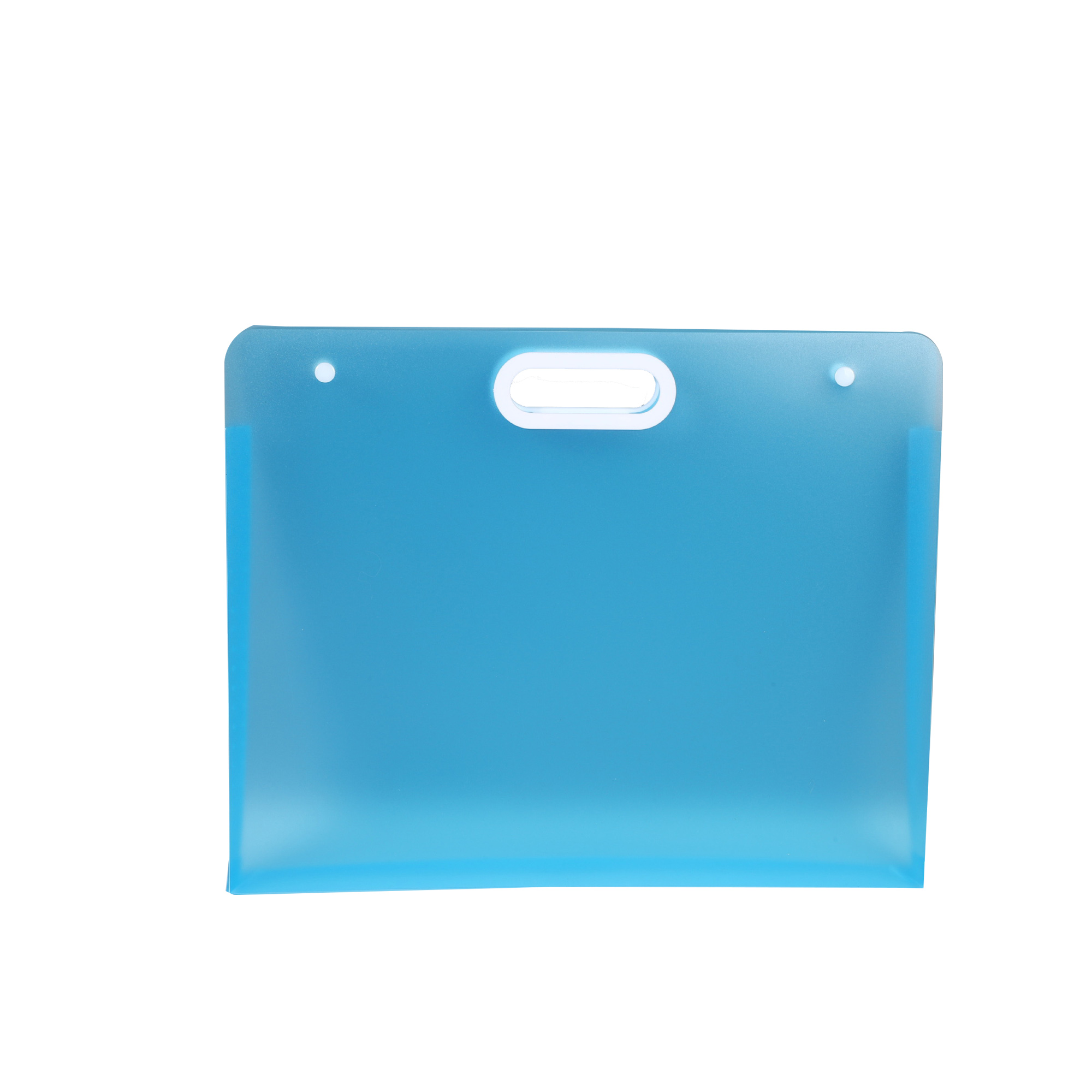 Premium Artistic Expression Student Portfolio Storage Bag & Sketchbook Organizer 