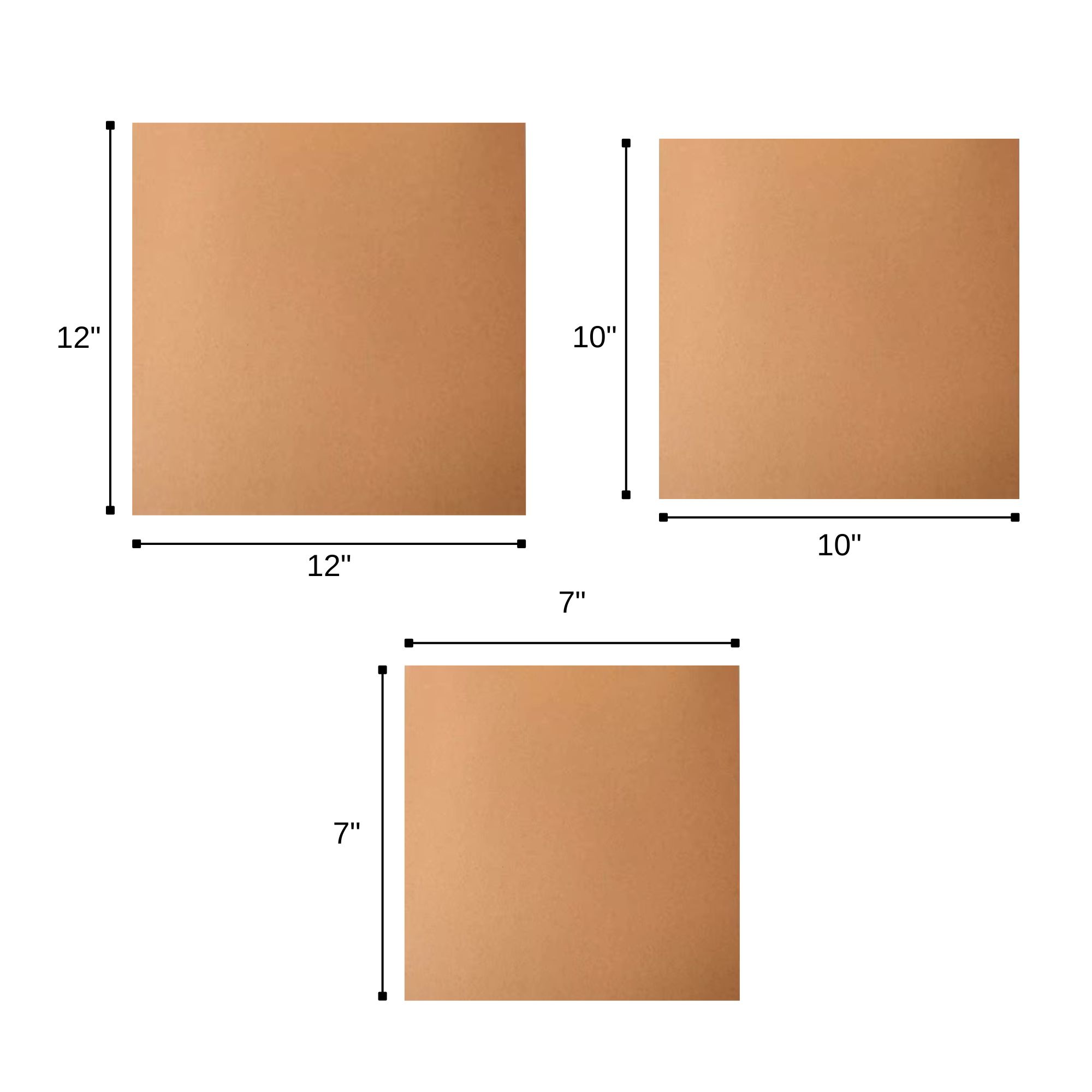 Vinyl Record Protector Bag