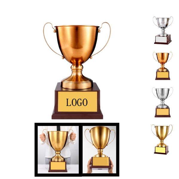 Large Premium Metal Awards for Employee Recognition and Sports Competitions 